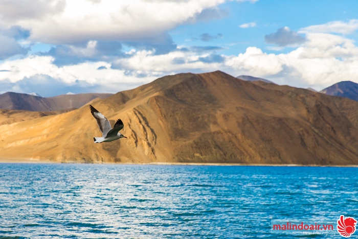 Nước màu xanh dương là điểm đặc trưng của chuỗi hồ ở Ladakh