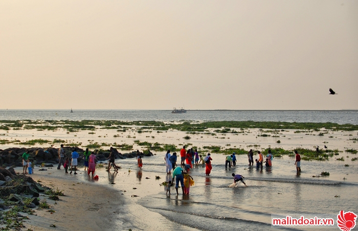 Bãi biển Fort Kochi