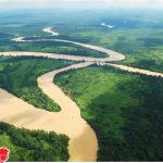 Malesia-Borneo-Kinabatangan-River