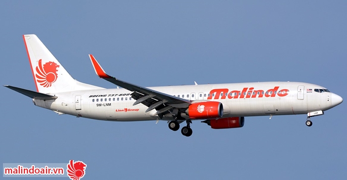 Hướng dẫn chi tiết dịch vụ y tế tiện ích của Malindo Air