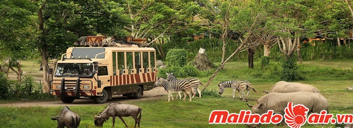 Taman Safari hiện có nhiều loại động vật quý hiếm